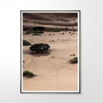 Tracks_Shade